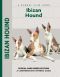 [Comprehensive Owner's Guide 01] • Ibizan Hound